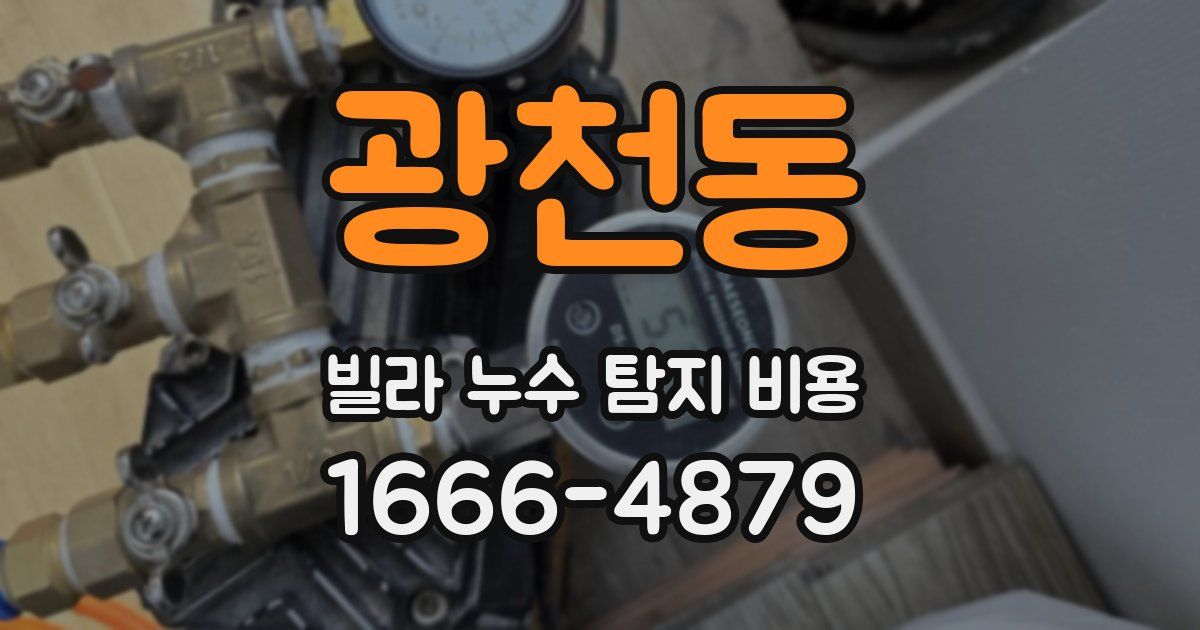 광천동 빌라 누수 탐지 비용
