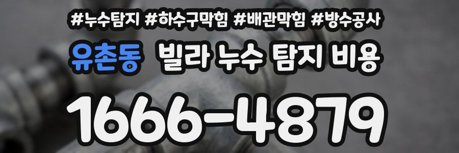유촌동 빌라 누수 탐지 비용