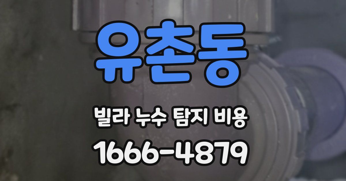 유촌동 빌라 누수 탐지 비용