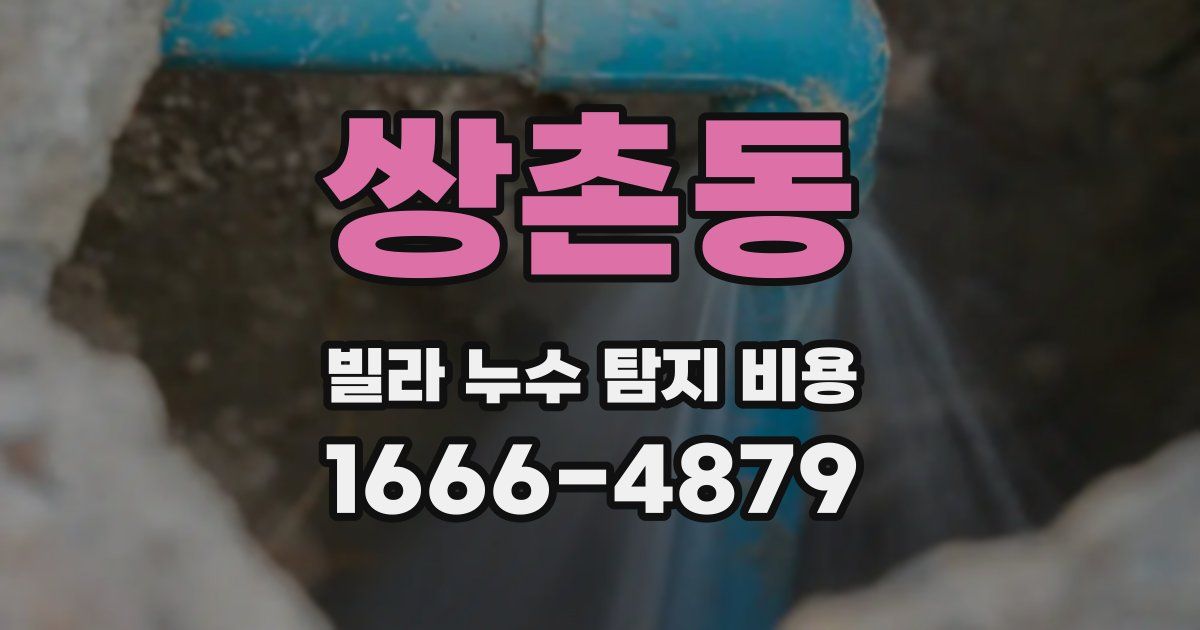 쌍촌동 빌라 누수 탐지 비용
