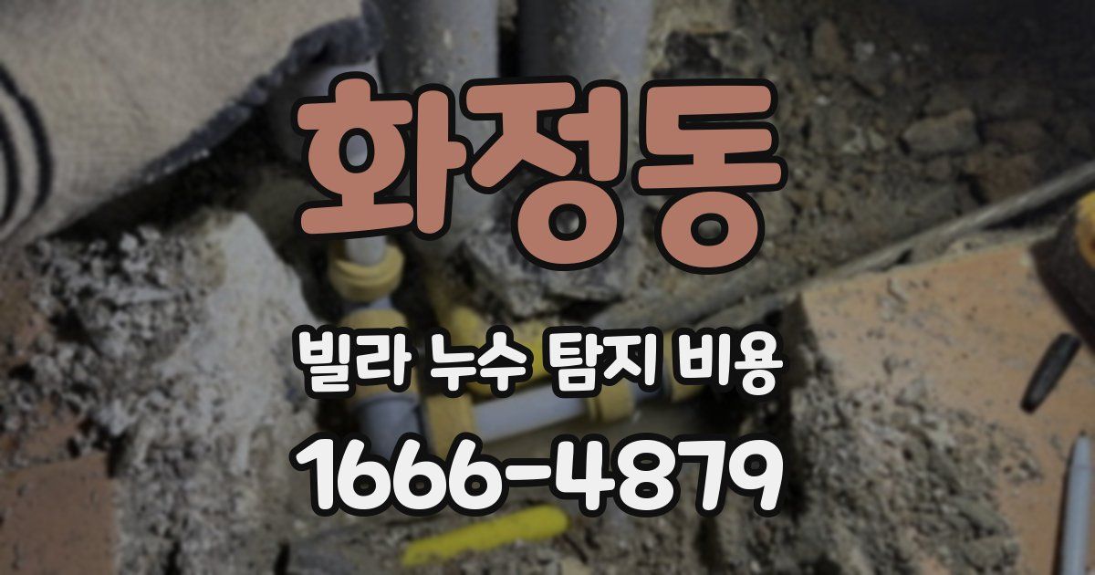 화정동 빌라 누수 탐지 비용