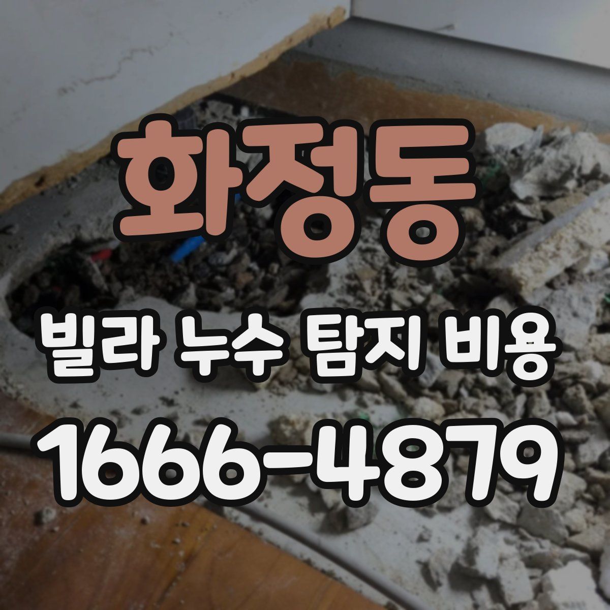 화정동 빌라 누수 탐지 비용