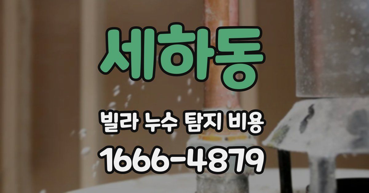 세하동 빌라 누수 탐지 비용