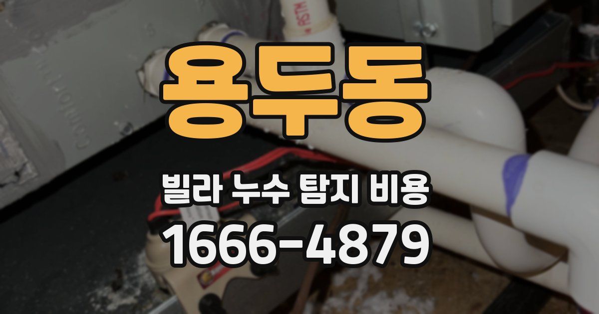 용두동 빌라 누수 탐지 비용