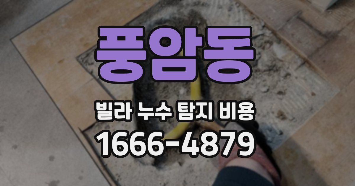 풍암동 빌라 누수 탐지 비용