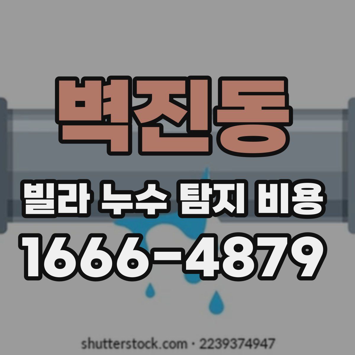 벽진동 빌라 누수 탐지 비용