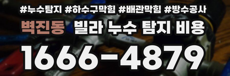벽진동 빌라 누수 탐지 비용