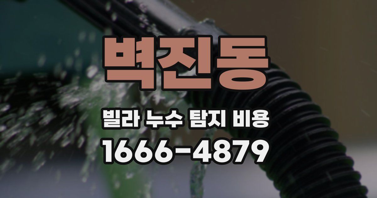 벽진동 빌라 누수 탐지 비용