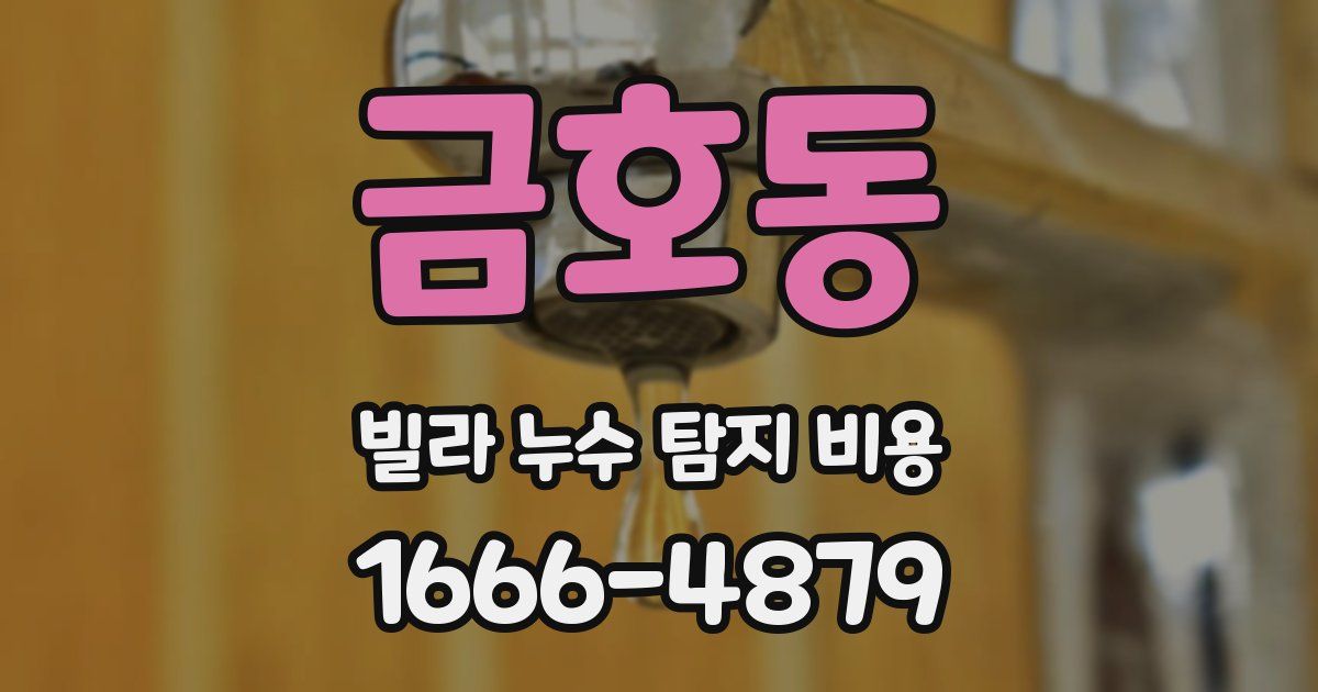 금호동 빌라 누수 탐지 비용
