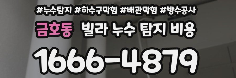 금호동 빌라 누수 탐지 비용