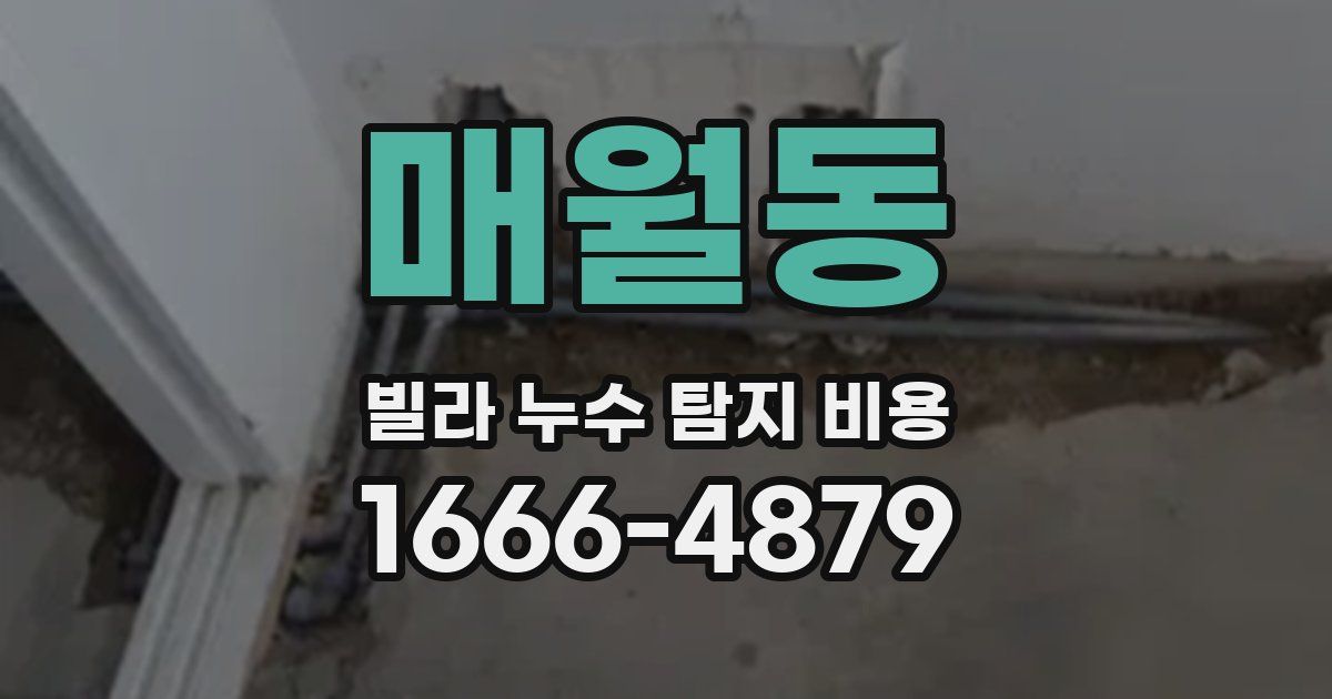 매월동 빌라 누수 탐지 비용