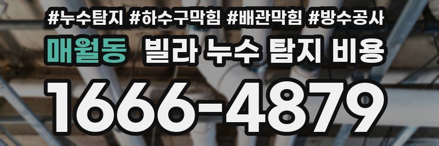 매월동 빌라 누수 탐지 비용