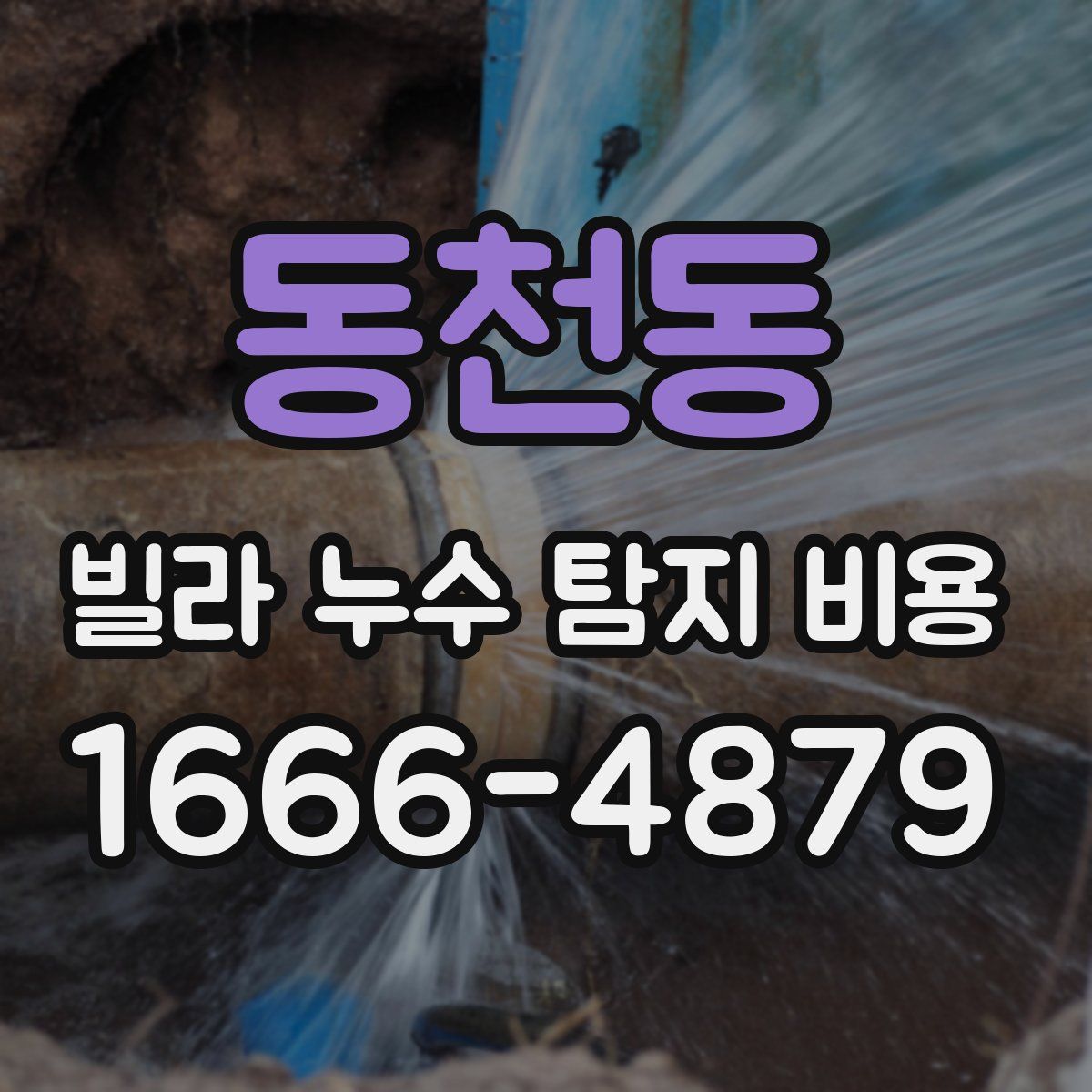 동천동 빌라 누수 탐지 비용