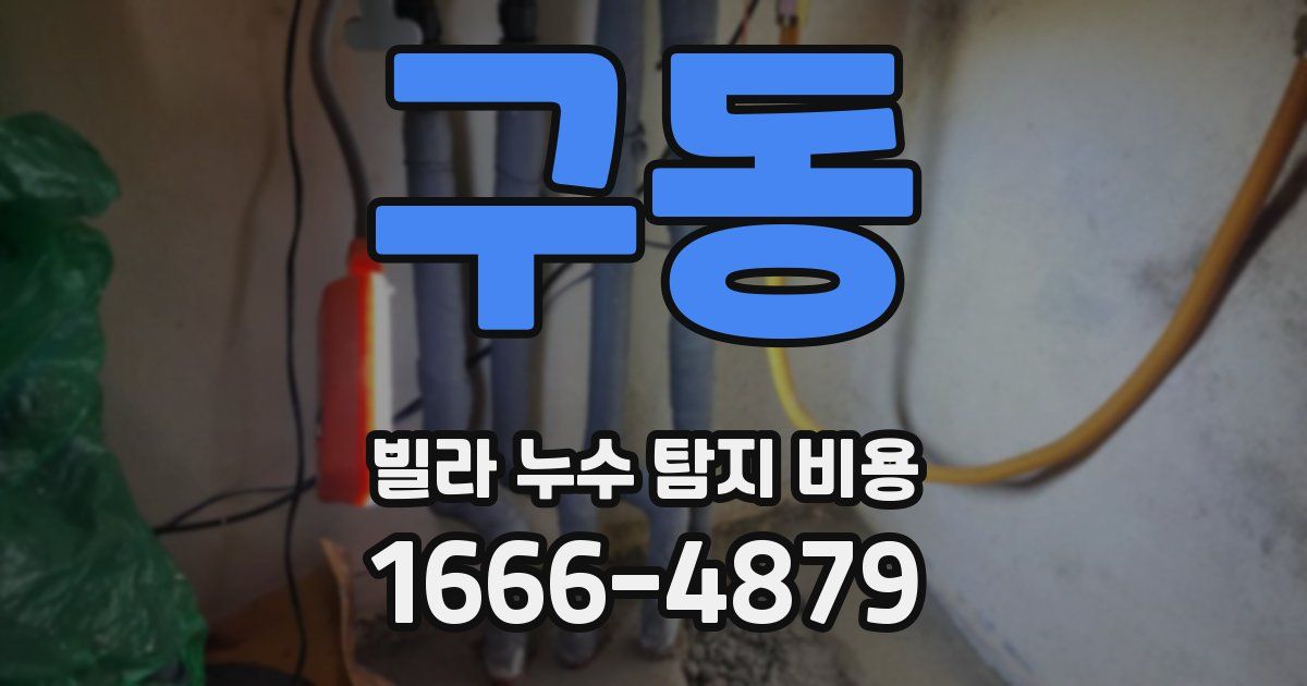 구동 빌라 누수 탐지 비용