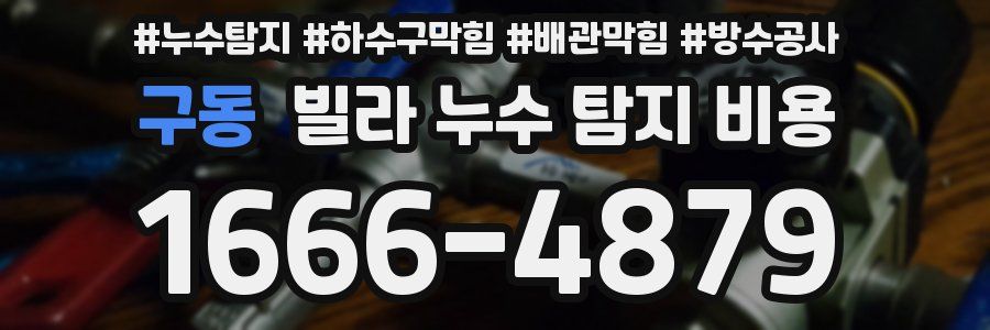 구동 빌라 누수 탐지 비용
