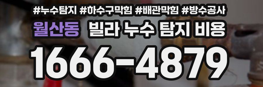 월산동 빌라 누수 탐지 비용
