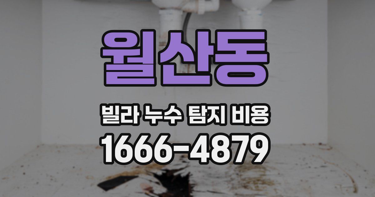 월산동 빌라 누수 탐지 비용