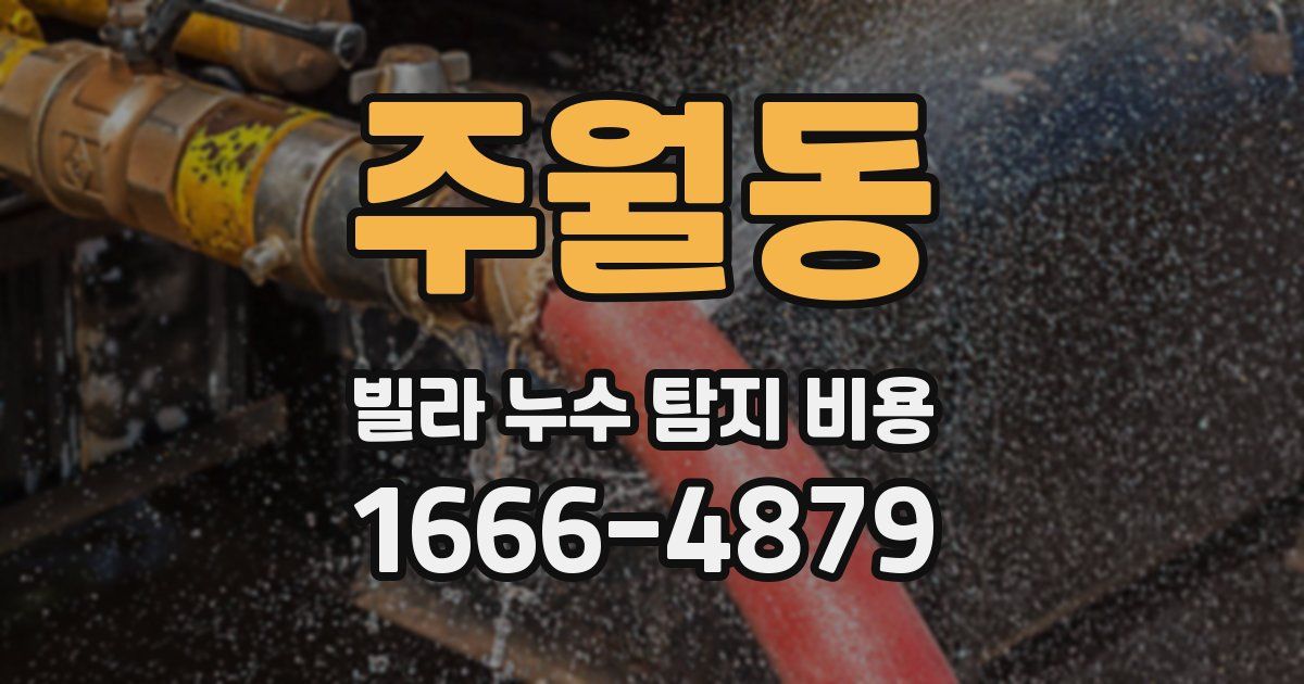 주월동 빌라 누수 탐지 비용