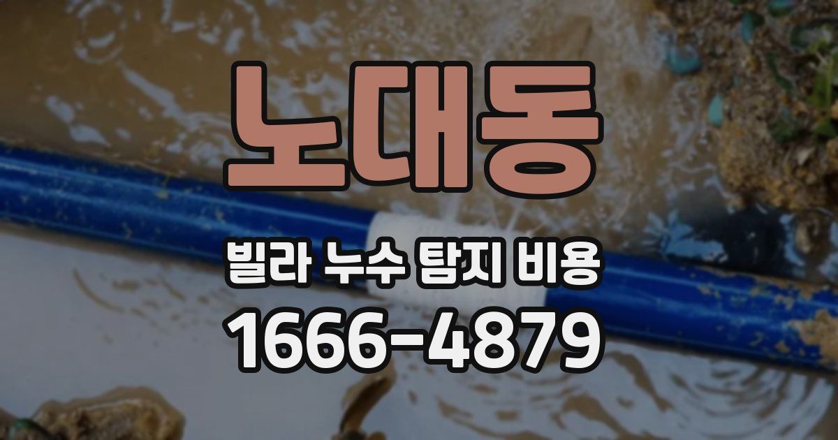 노대동 빌라 누수 탐지 비용