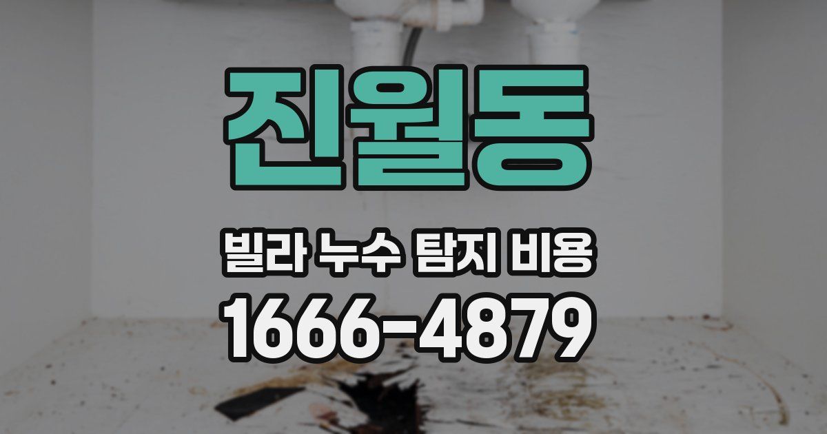 진월동 빌라 누수 탐지 비용