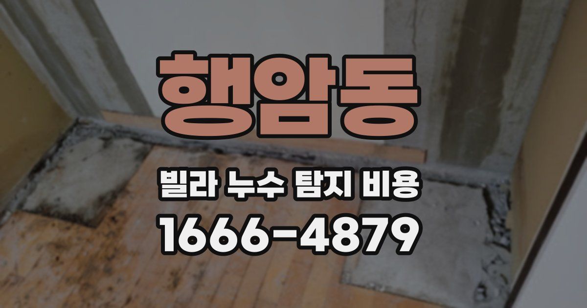 행암동 빌라 누수 탐지 비용