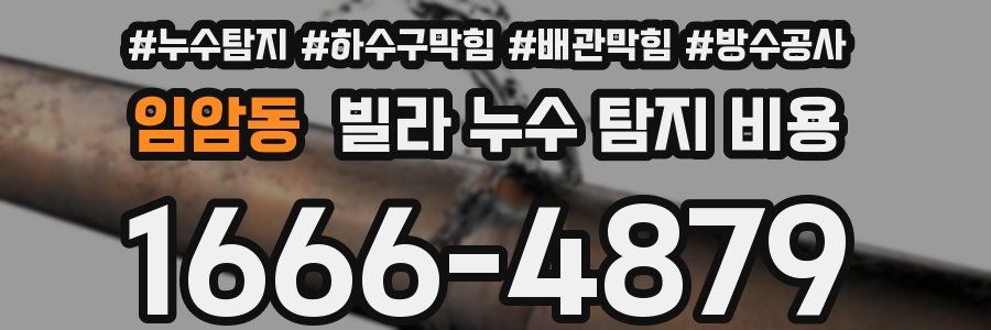 임암동 빌라 누수 탐지 비용