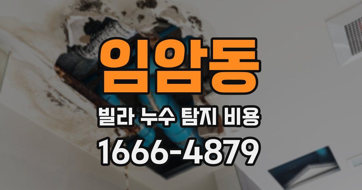 임암동 빌라 누수 탐지 비용