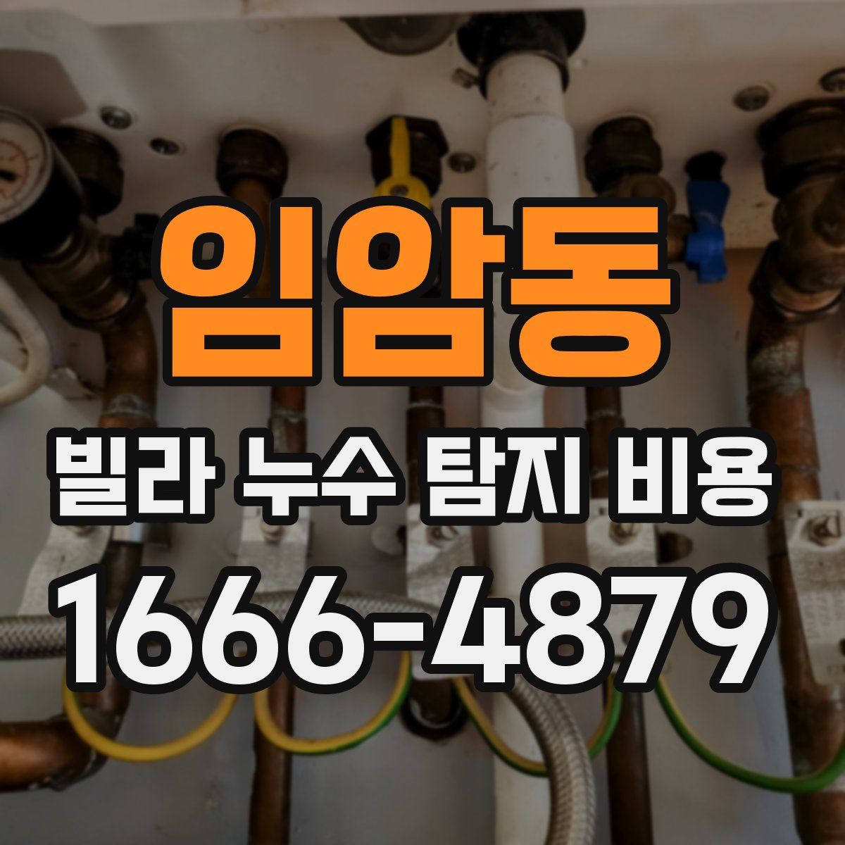 임암동 빌라 누수 탐지 비용