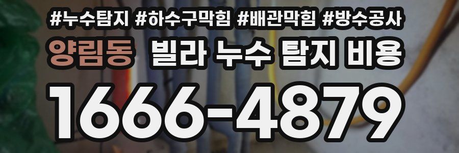 양림동 빌라 누수 탐지 비용