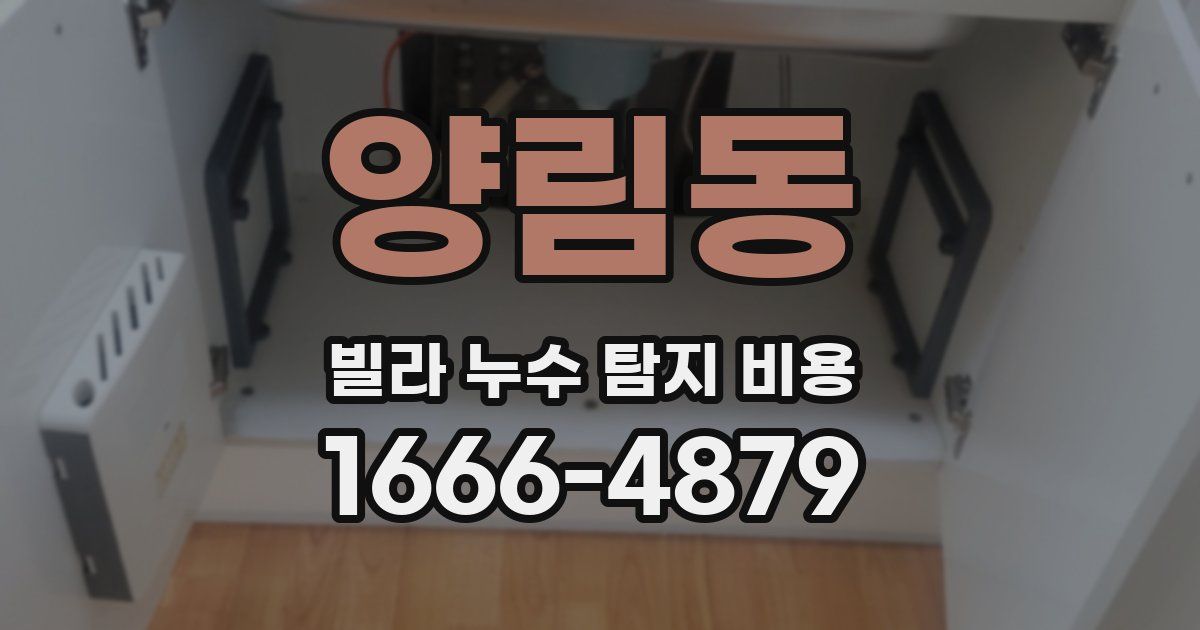 양림동 빌라 누수 탐지 비용