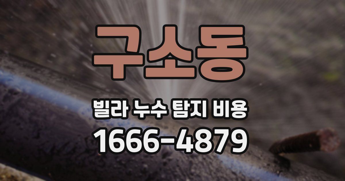 구소동 빌라 누수 탐지 비용