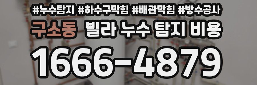 구소동 빌라 누수 탐지 비용