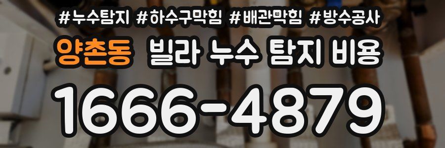 양촌동 빌라 누수 탐지 비용