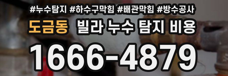 도금동 빌라 누수 탐지 비용