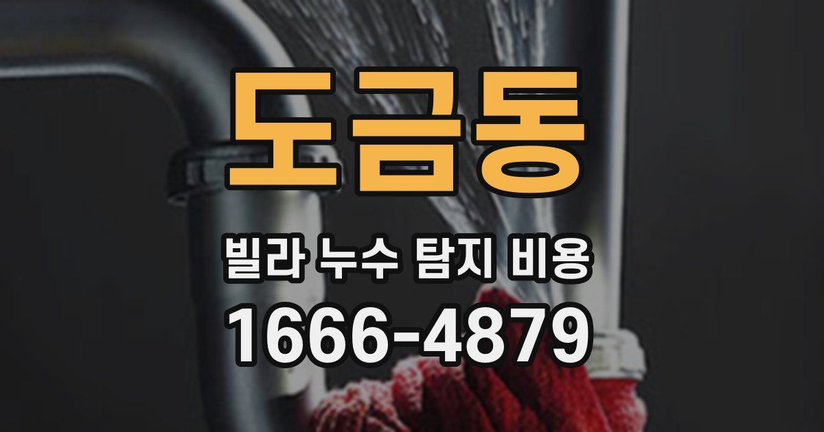 도금동 빌라 누수 탐지 비용