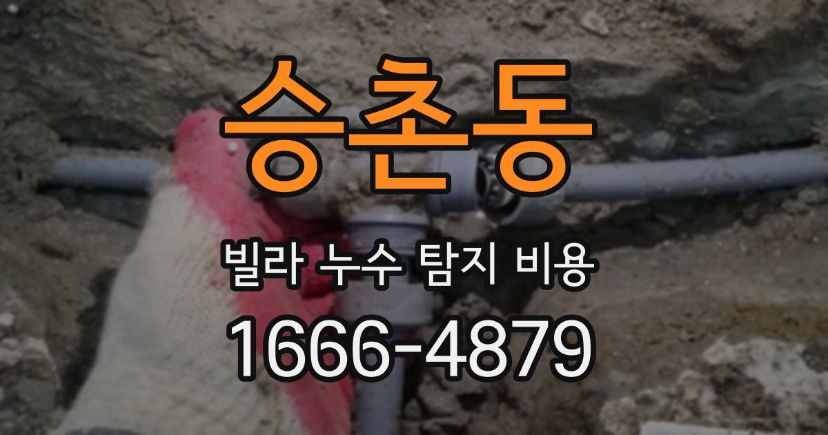 승촌동 빌라 누수 탐지 비용