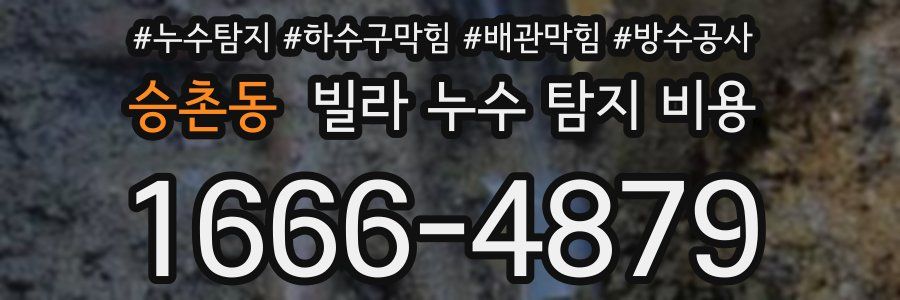승촌동 빌라 누수 탐지 비용
