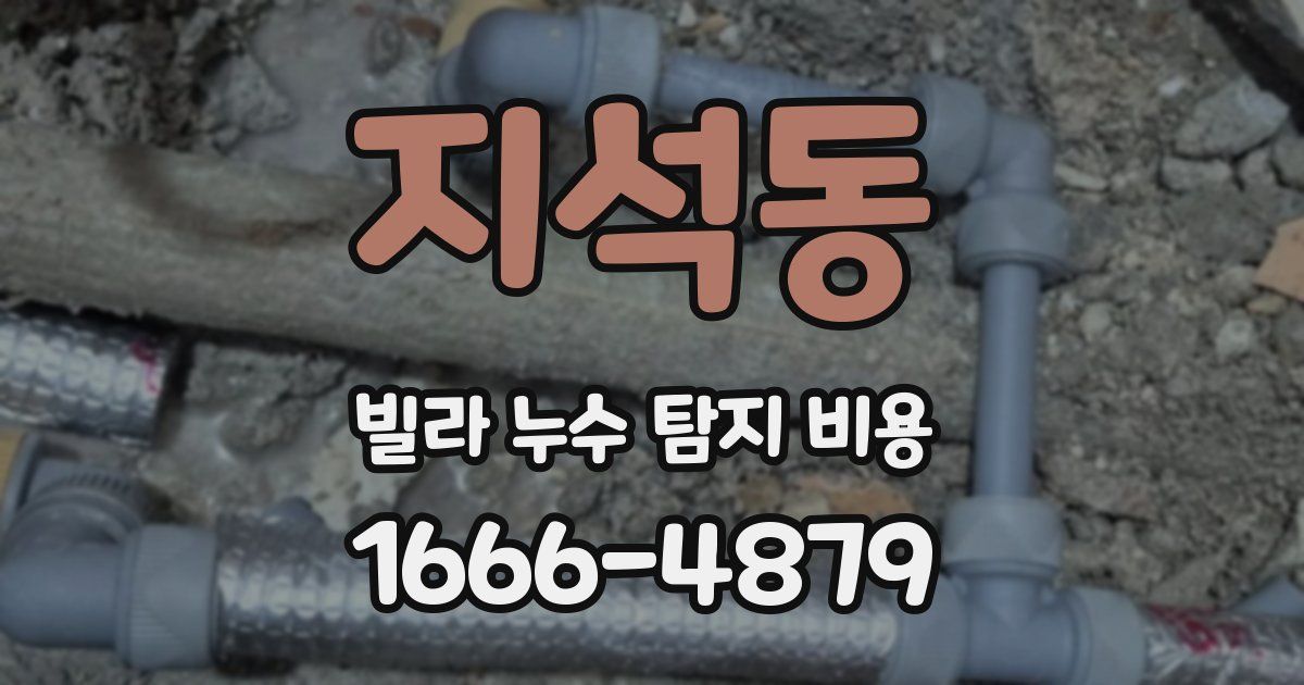 지석동 빌라 누수 탐지 비용