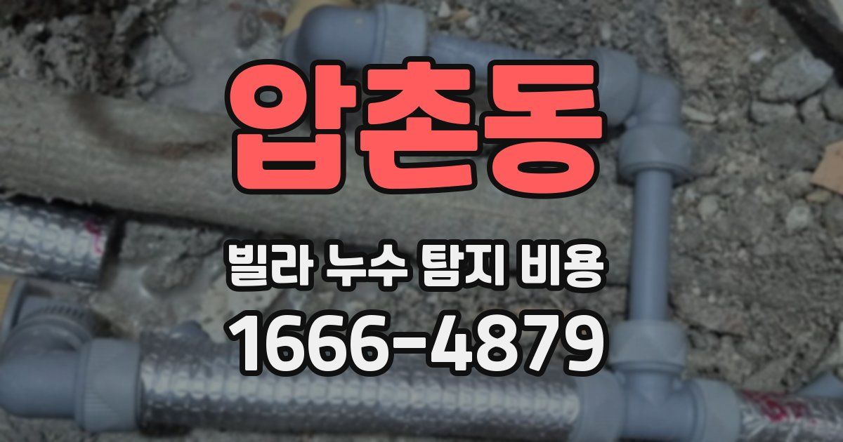 압촌동 빌라 누수 탐지 비용