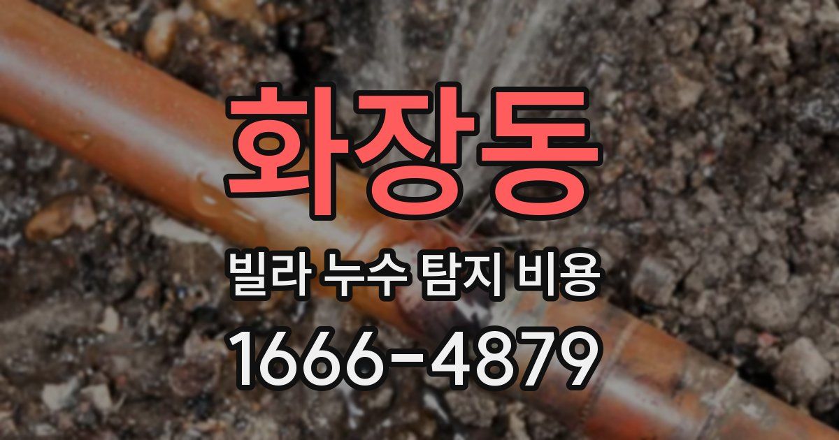 화장동 빌라 누수 탐지 비용