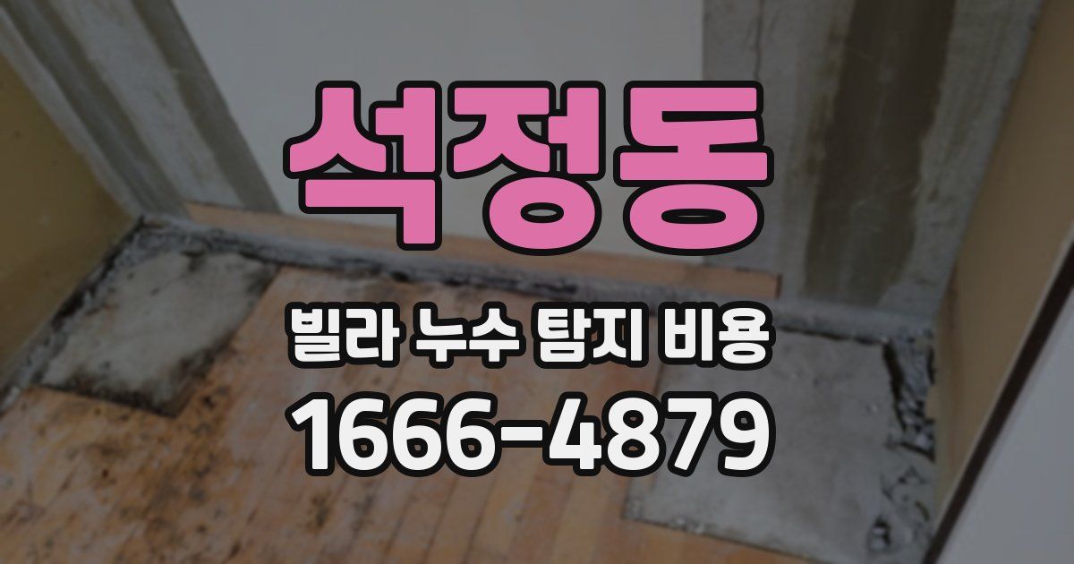 석정동 빌라 누수 탐지 비용