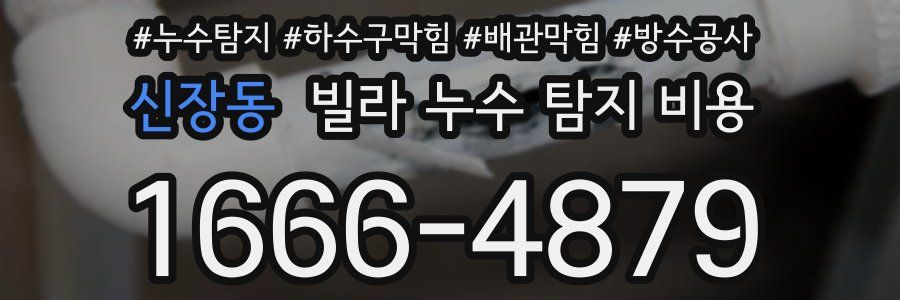 신장동 빌라 누수 탐지 비용
