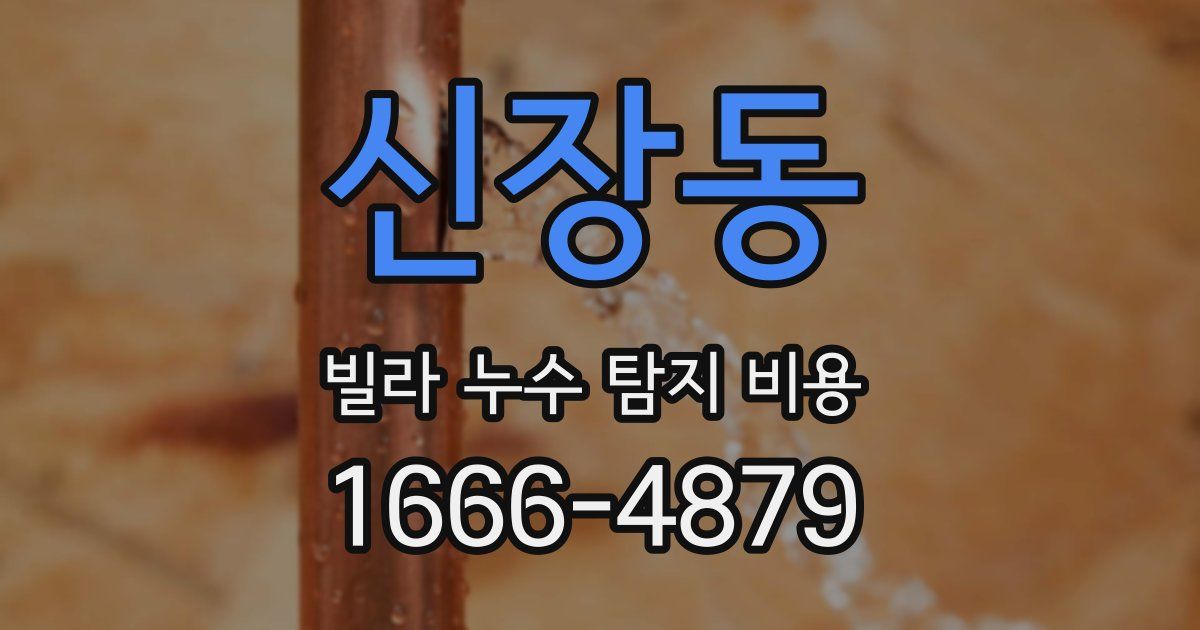 신장동 빌라 누수 탐지 비용