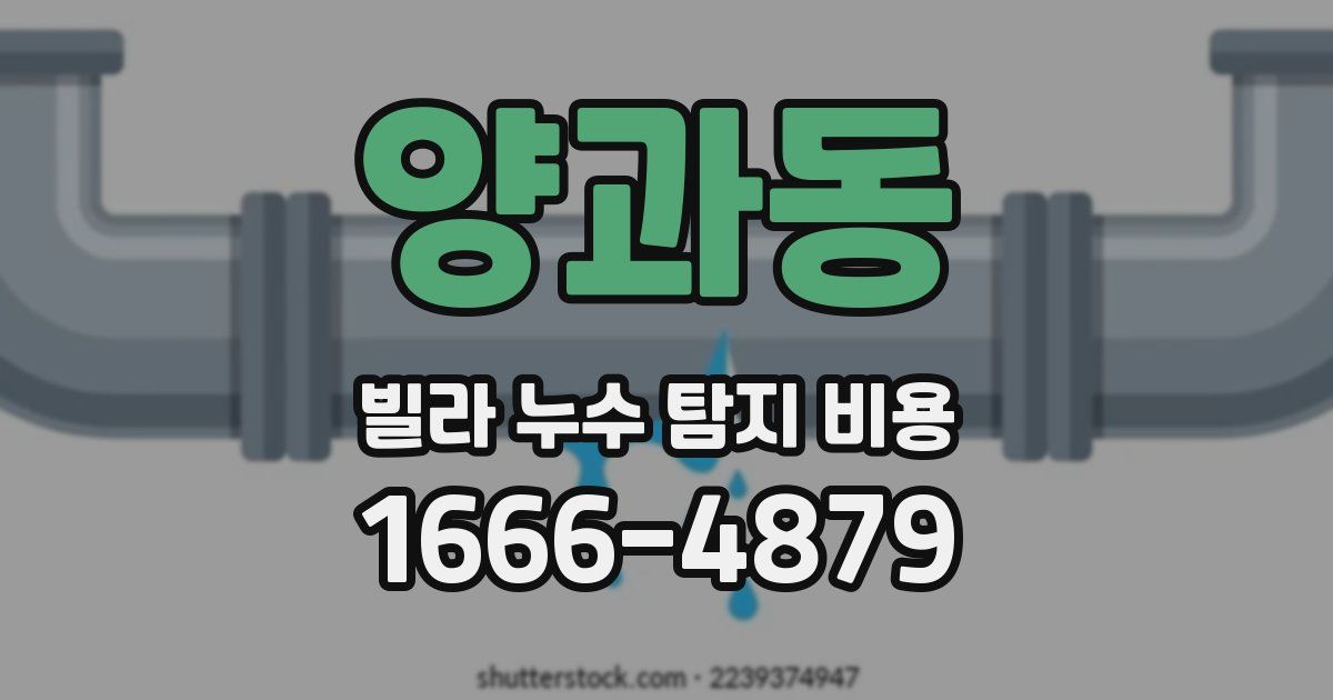 양과동 빌라 누수 탐지 비용