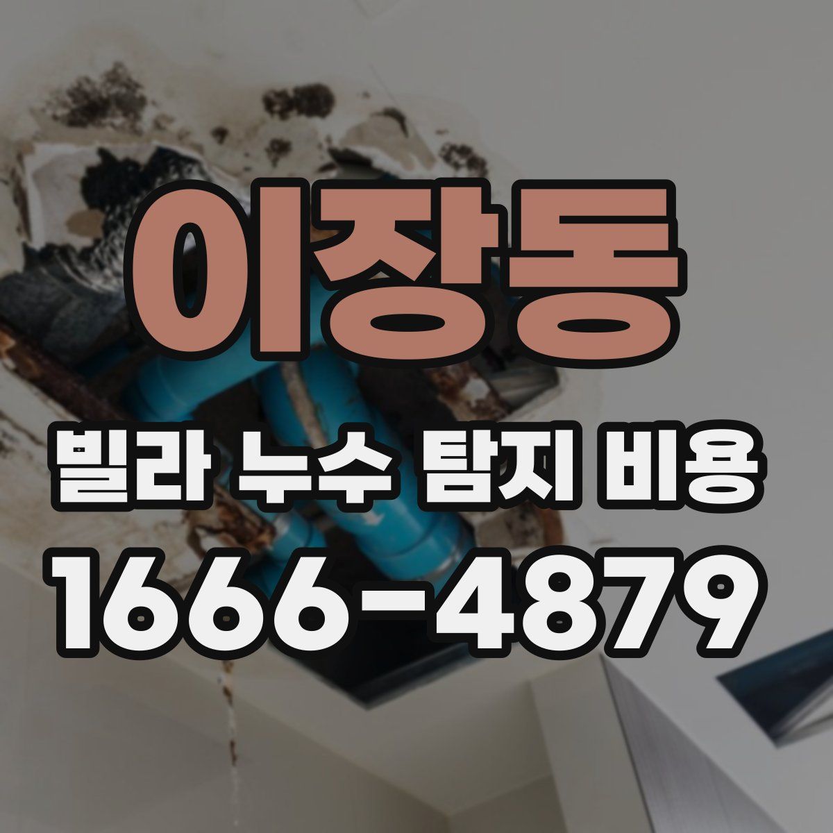 이장동 빌라 누수 탐지 비용