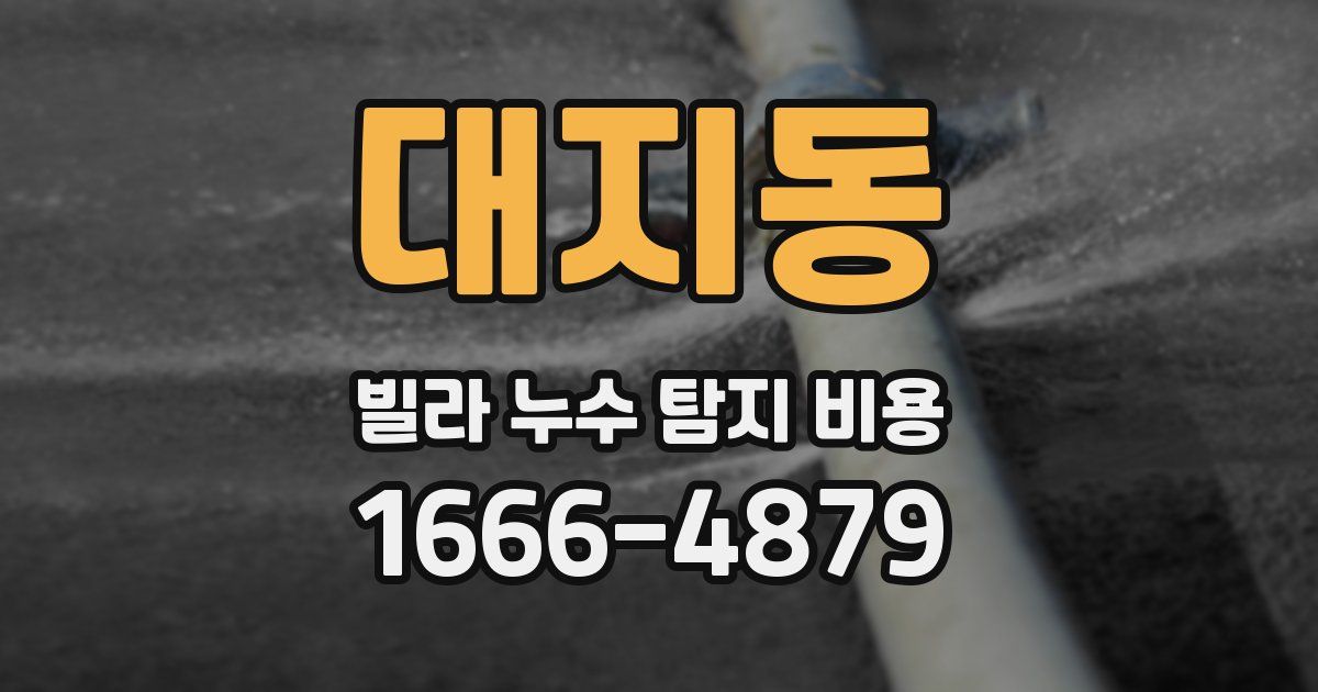 대지동 빌라 누수 탐지 비용