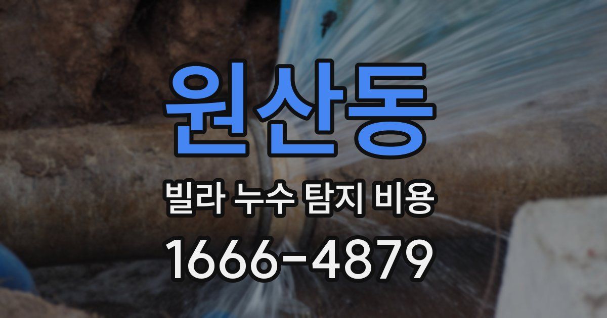 원산동 빌라 누수 탐지 비용