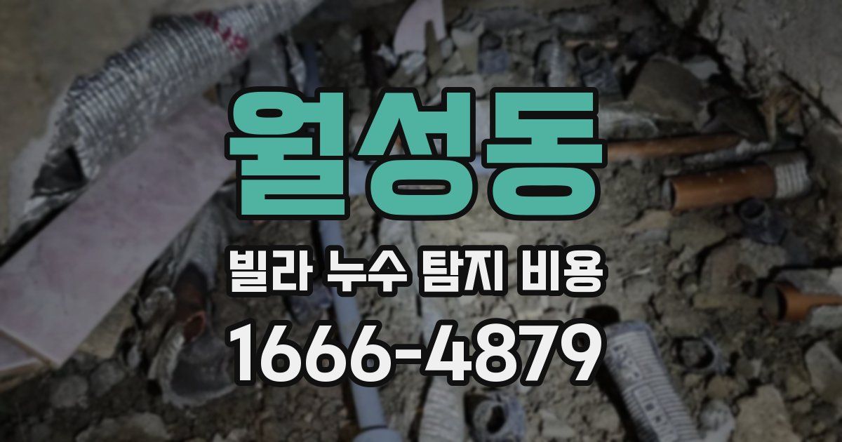 월성동 빌라 누수 탐지 비용