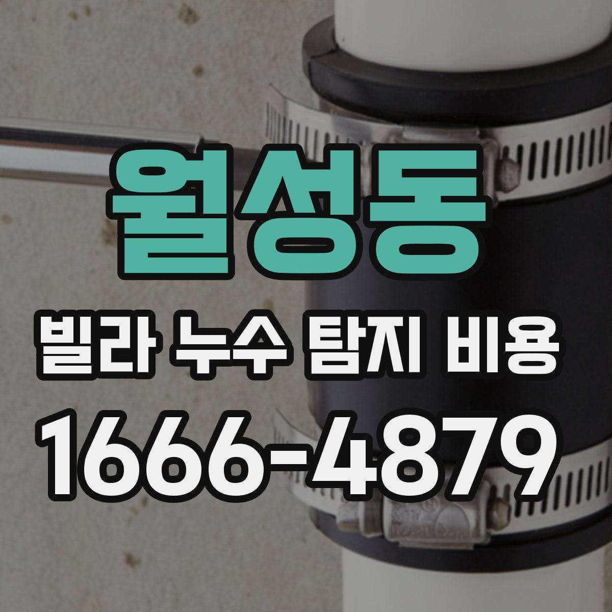 월성동 빌라 누수 탐지 비용