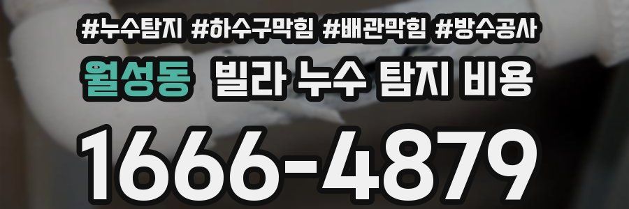 월성동 빌라 누수 탐지 비용